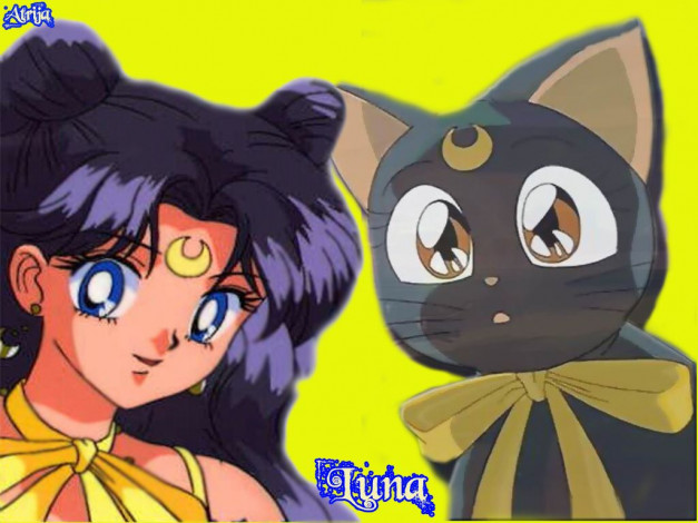 Обои картинки фото кошка, луна, аниме, sailor, moon