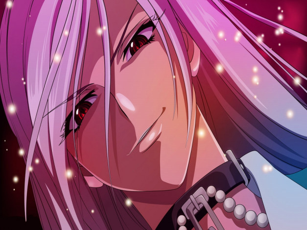 Обои картинки фото аниме, rosario, vampire