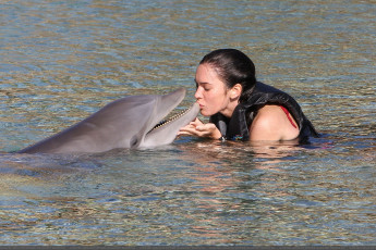 Картинка Megan+Fox девушки   дельфин