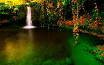 Картинка forest falls природа водопады лес водопад озеро