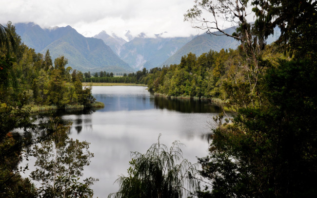 Обои картинки фото новая, зеландия, уэстленд, нешнел, lake, matheson, природа, реки, озера, парк
