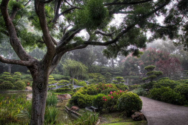 Обои картинки фото earl, burns, miller, japanese, garden, california, usa, природа, парк