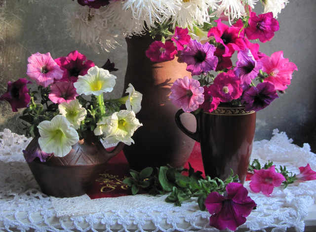 Обои картинки фото цветы, петунии,  калибрахоа, букеты