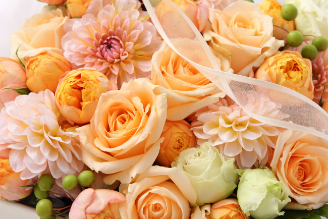 Обои картинки фото цветы, разные вместе, хризантемы, розы, ленточка