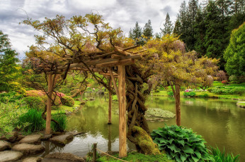 Картинка природа парк деревья пруд Японский сад камни