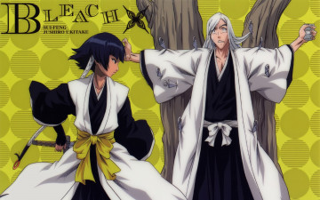 Картинка аниме bleach game anime asian manga japanese oriental asiatic powerful strong sugoi