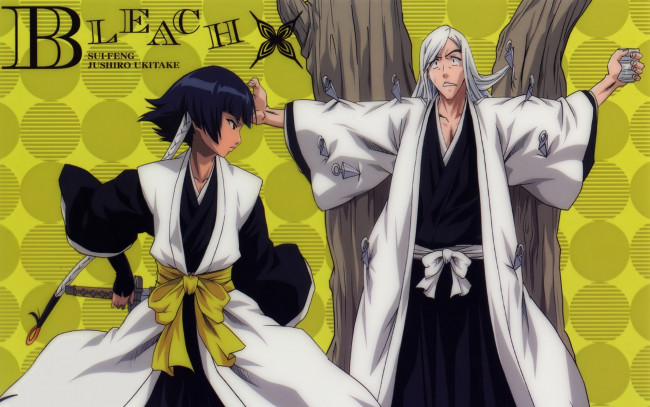 Обои картинки фото аниме, bleach, game, anime, asian, manga, japanese, oriental, asiatic, powerful, strong, sugoi