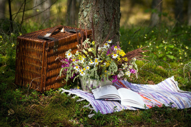 Обои картинки фото цветы, букеты,  композиции, корзинка, кипрей, ромашки, пикник, книга