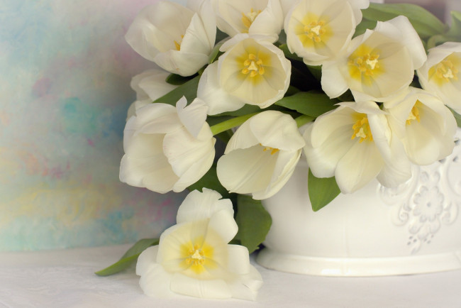 Обои картинки фото цветы, тюльпаны, ваза, белые, букет