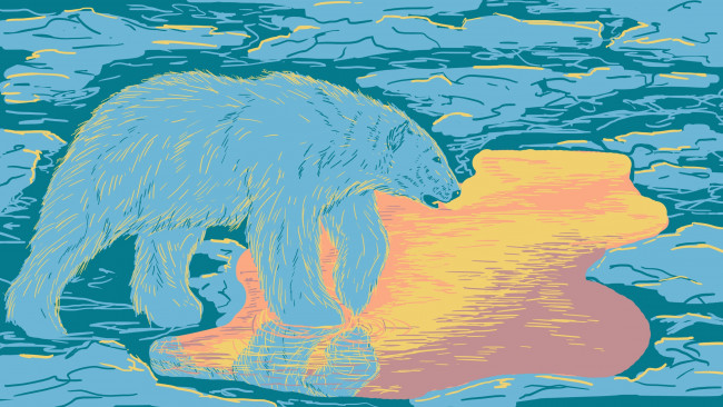 Обои картинки фото векторная графика, животные , animals, белый, медведь, льдины