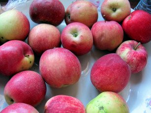Картинка еда яблоки краснобокие фрукты