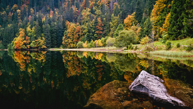 Обои картинки фото природа, реки, озера, лес, деревья, осень, озеро