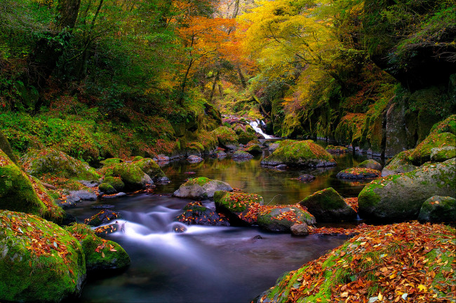 Обои картинки фото природа, реки, озера, осень, камни, листья, деревья, река, лес
