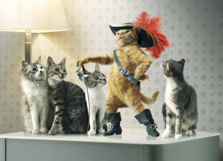Картинка разное компьютерный дизайн кот в сапогах кошки шляпа шпага