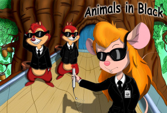 Картинка chip `n dale rescue rangers мультфильмы чип и дейл