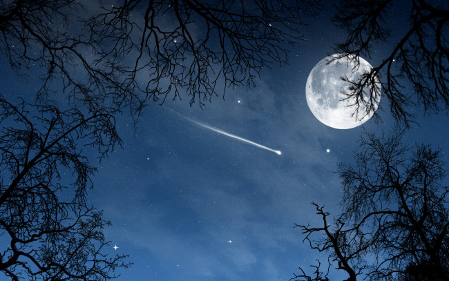 Обои картинки фото космос, луна, планета, ветки