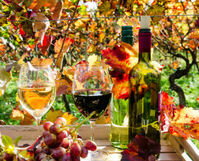 обоя еда, напитки,  вино, виноградники, вино, бокал, виноград