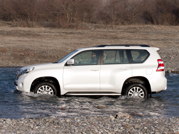 Обои картинки фото автомобили, toyota, land, 2013г, 150, cis-spec, prado, cruiser, светлый