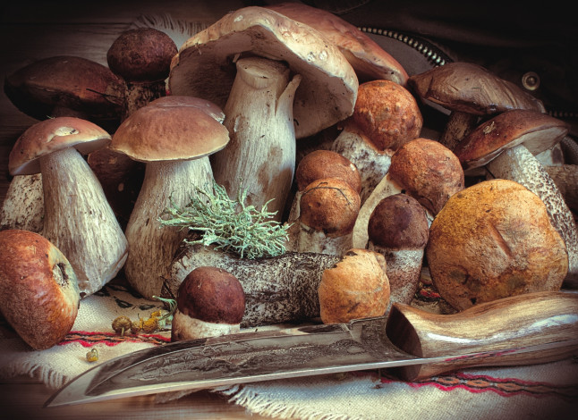 Обои картинки фото еда, грибы,  грибные блюда, боровики