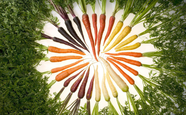 Обои картинки фото еда, морковь, сорт, узор