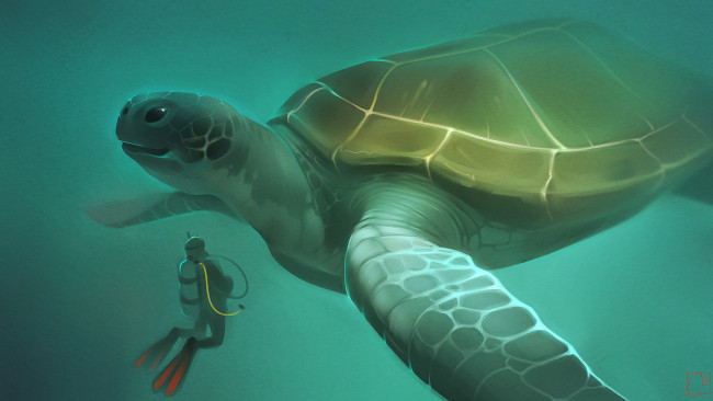 Обои картинки фото рисованное, животные, черепаха, аквалангист