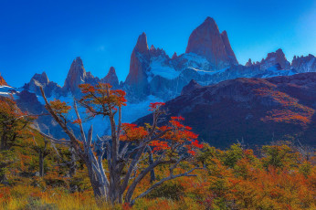 Картинка природа горы пик деревья осень вершина