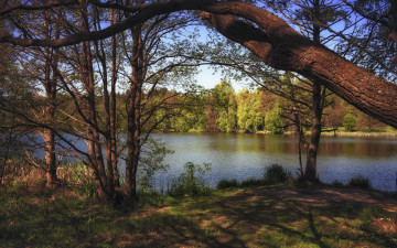 Картинка природа реки озера деревья осень река берег лес