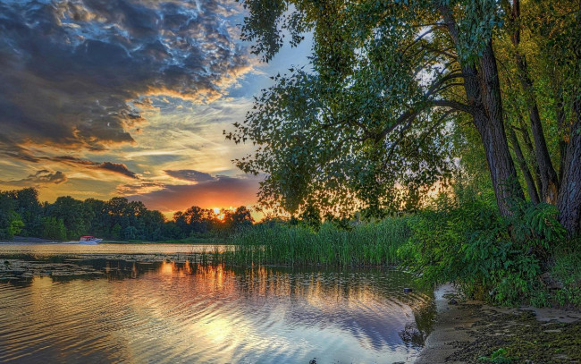 Обои картинки фото природа, реки, озера, заводь, киев, украина, закат, днепр
