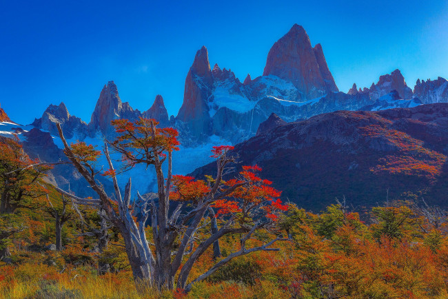 Обои картинки фото природа, горы, пик, деревья, осень, вершина