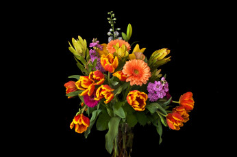 обоя цветы, букеты,  композиции, букет, тюльпаны, ваза, маттиола, черный, фон, герберы, левкой