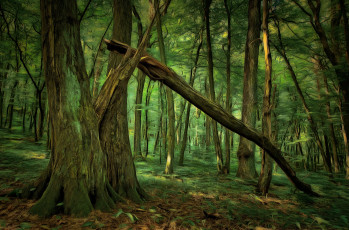 Картинка разное компьютерный+дизайн digital painting лес деревья