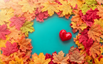 Картинка разное ремесла +поделки +рукоделие любовь autumn love листья romantic leaves осень red heart сердце valentine maple