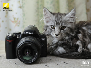 обоя бренды, nikon