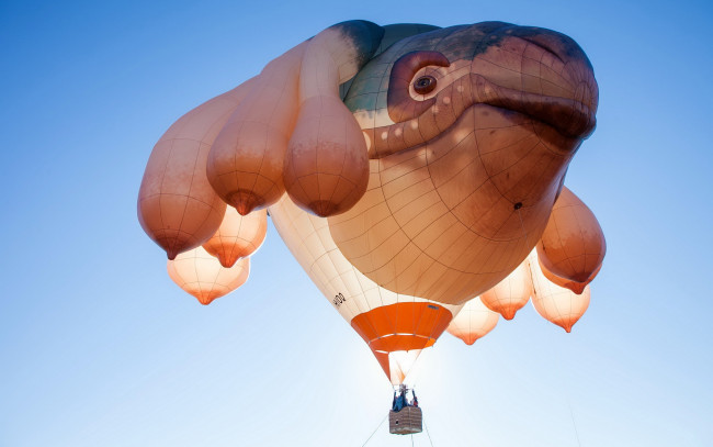 Обои картинки фото авиация, воздушные, шары, воздушный, шар, корзина, полет