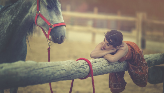 Обои картинки фото девушки, -unsort , брюнетки,  шатенки, arancha, ari, arevalo, модель, лошадь, конь, бревно, настроение
