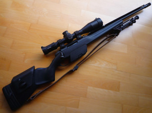 Картинка steyr+ssg оружие снайперская+винтовка снайперка