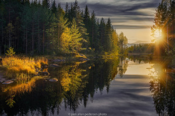 Картинка природа восходы закаты лес осень деревья