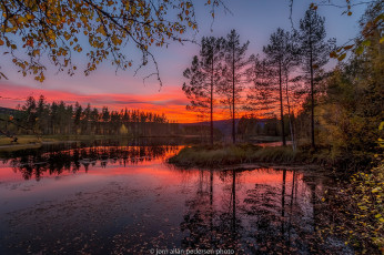 Картинка природа восходы закаты закат осень ветки