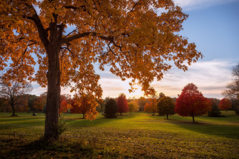 Картинка природа восходы закаты висконсин wisconsin деревья парк осень