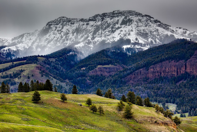 Обои картинки фото природа, горы, деревья, скалы, лес, сша, yellowstone, national, park, снег