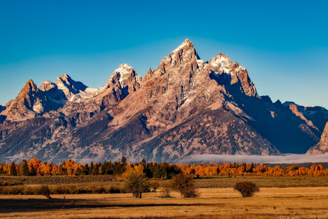 Обои картинки фото природа, горы, скалы, осень, сша, grand, teton, national, park, солнце, поле, равнина, небо, гранд-титон, кусты, деревья