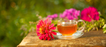 Картинка еда напитки +Чай цинния чай напиток цветы