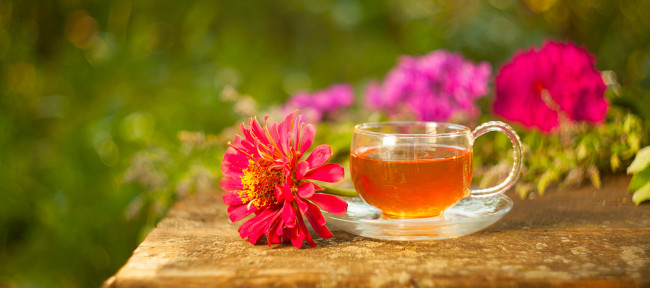 Обои картинки фото еда, напитки,  Чай, цинния, чай, напиток, цветы
