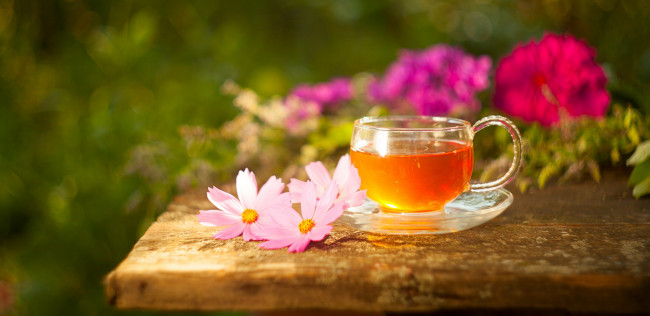 Обои картинки фото еда, напитки,  Чай, чай, напиток, космея, цветы