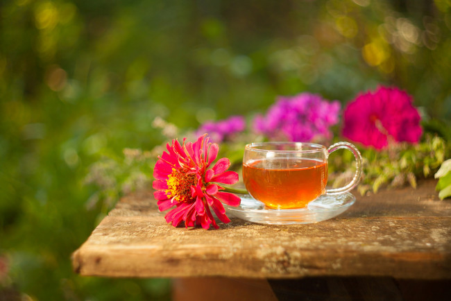 Обои картинки фото еда, напитки,  Чай, напиток, чай, цинния, цветы