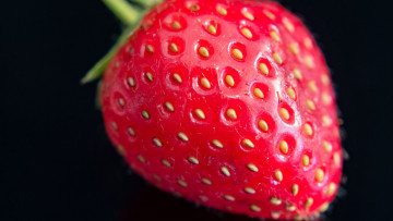 Картинка клубника еда +земляника ягода