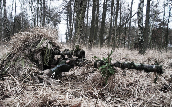 Обои картинки фото оружие, армия, спецназ, лес, снайпер, винтовка, трава