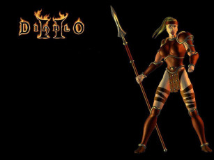 Картинка видео игры diablo ii