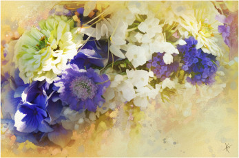 Картинка рисованные цветы скабиоза цинния гортензия флоксы