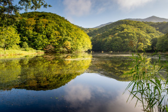 Картинка природа реки озера небо отражение озеро деревья